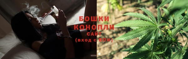 соль ск Белокуриха