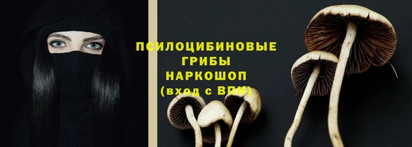 соль ск Белокуриха