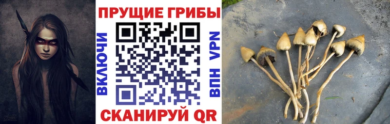 Псилоцибиновые грибы мухоморы  Шахты 